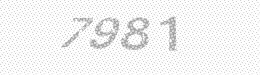 Visual security code — type the characters shown in the image